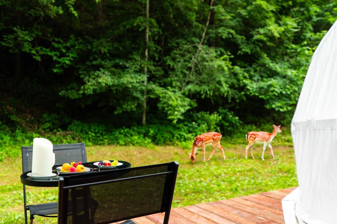 Solace Glamping 2 Sevierville Bagian luar foto